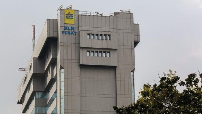 kantor-pln_169.jpeg