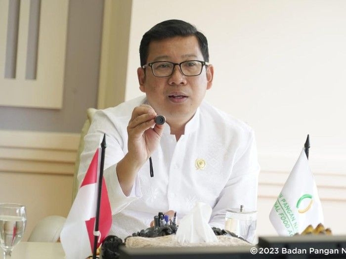 kepala-badan-pangan-nasional-arief-prasetyo-adi_43.jpeg