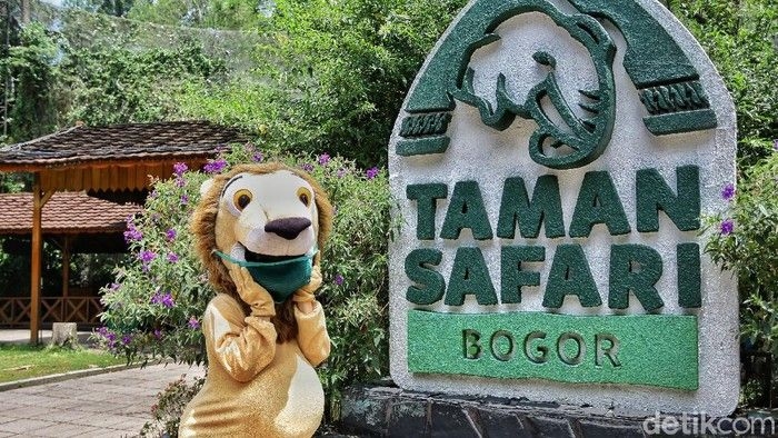 new-normal-di-taman-safari-3_169.jpeg