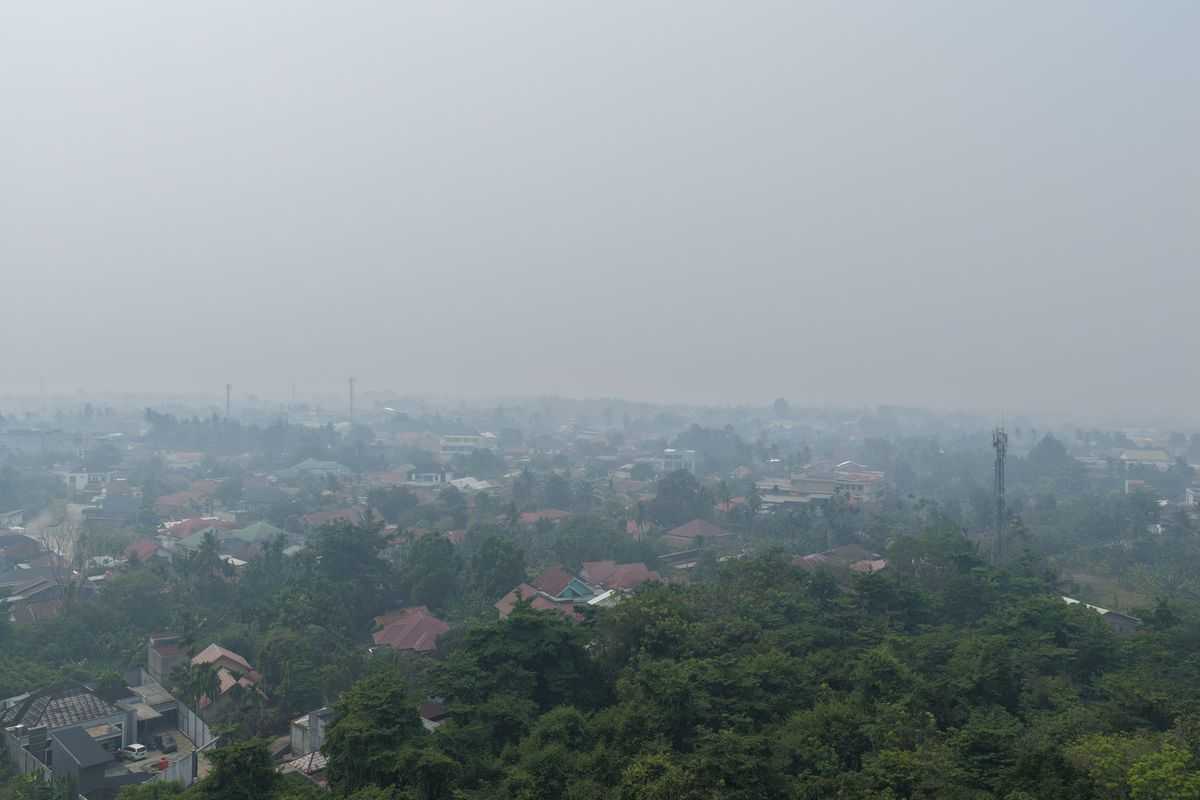 Gangguan Penerbangan Akibat Polusi Karhutla: Kabut Asap Pekat Selimuti Jambi, Pesawat Batik Air dan Super Air Jet Gagal Mendarat di Bandara Sultan Thaha