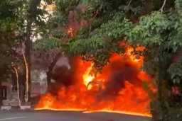 Mobil Carry Angkut 900 Liter Minyak Tanah Terbakar Dekat Bandara Halim, Sopir Panik Tabrak Tiang