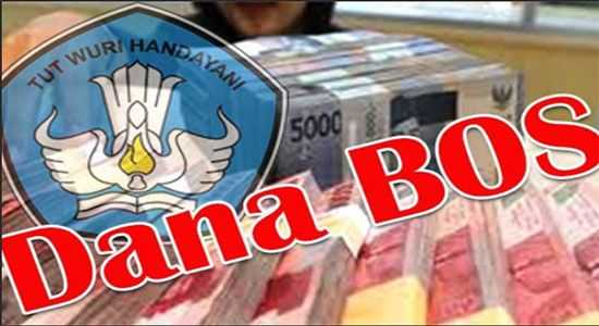 Temuan BPK soal Dana BOS di Sulsel Picu Polemik, JPPI Desak Kemendikdasmen Evaluasi Total Sistem Pelaporan