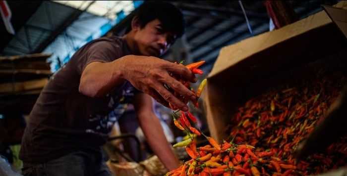 El Nino Berpotensi Dongkrak Harga Cabai dan Daging Ayam, Pemerintah Diminta Waspadai Gangguan Pasokan