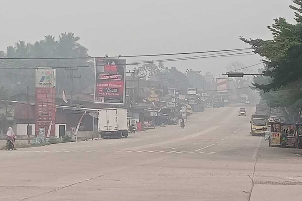 Krisis Karhutla Regional: Dampak Kabut Asap Kiriman di Sumbar Turunkan Kualitas Udara dan Ganggu Aktivitas Pendidikan