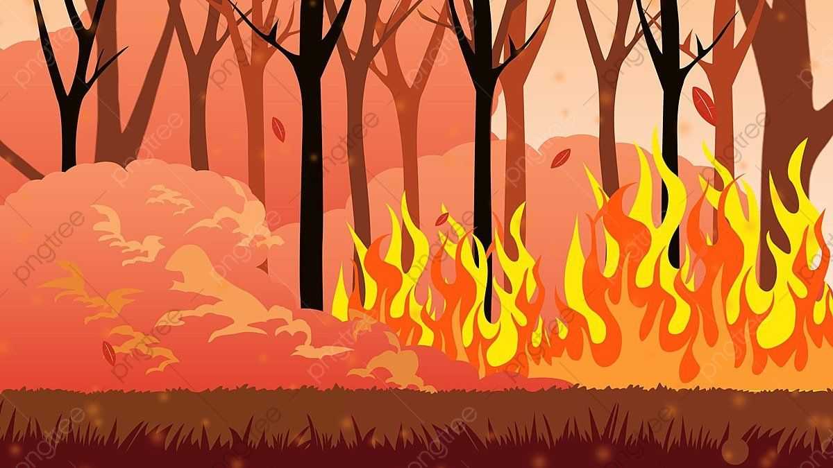 Kalimantan Berduka, Karhutla Meluas dan Kabut Asap Ancam Kesehatan Warga